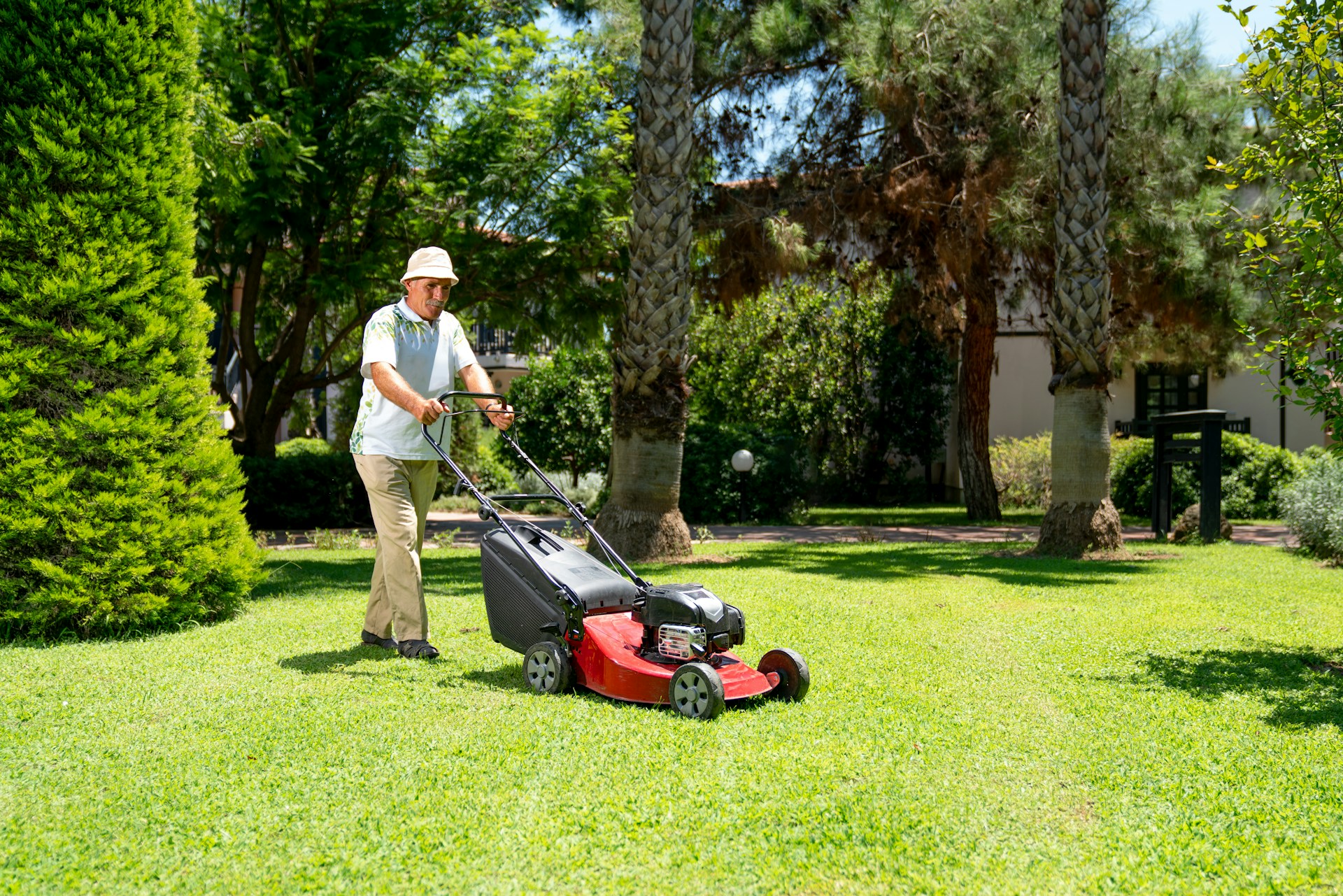 Landscaping That Keeps Phoenix Rentals Profitable All Year