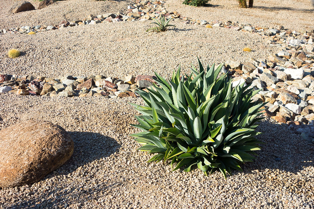 picture of landscaping
